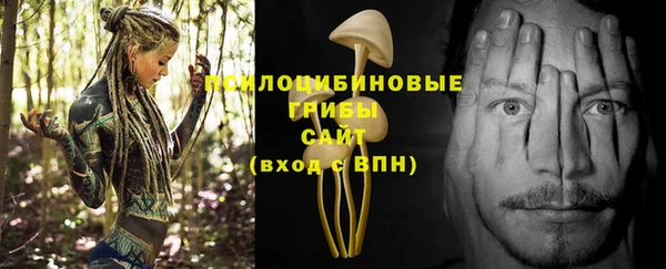 MESCALINE Аркадак