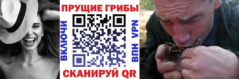 Псилоцибиновые грибы мицелий  Верхотурье 